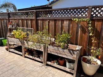 Garden beds