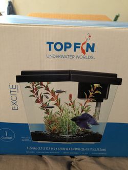 Fish tank and accessories