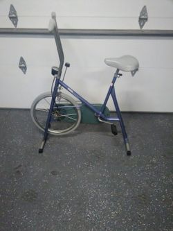 Roadmaster exercise bike sale