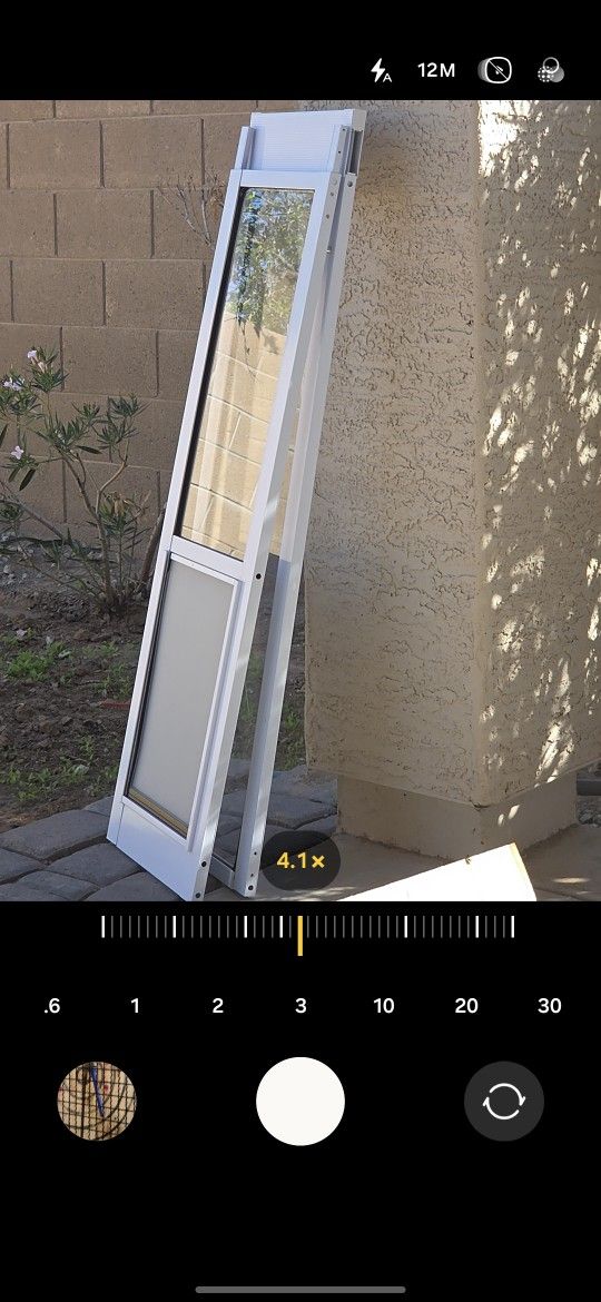 New Dog Door