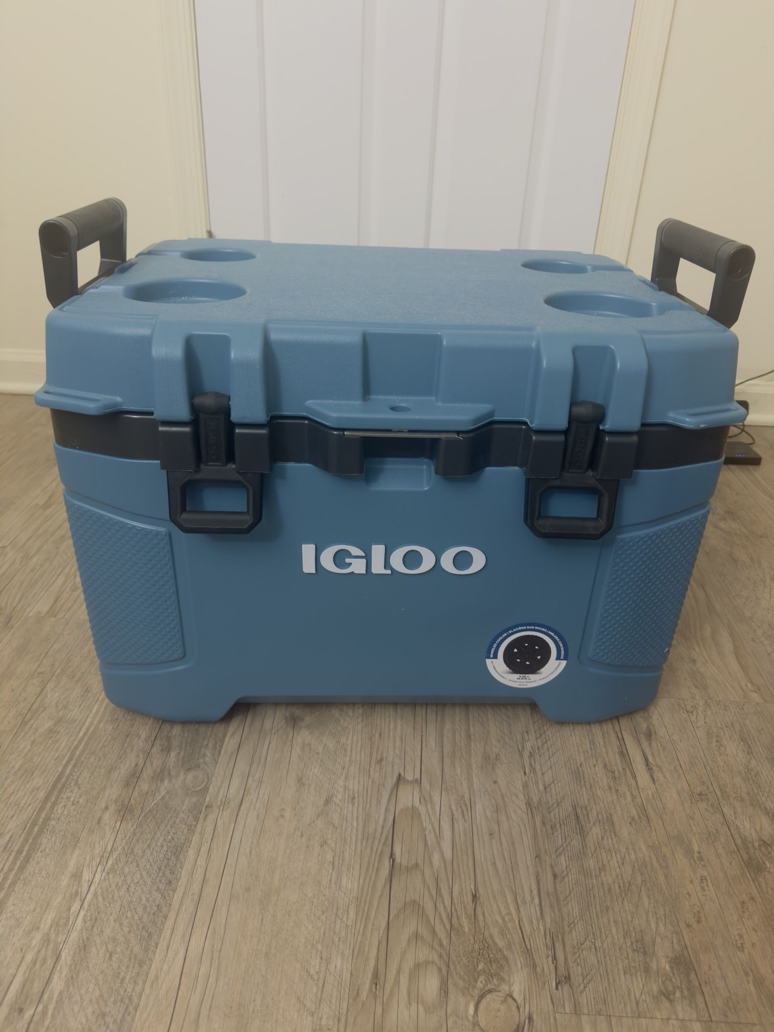 Igloo Cooler