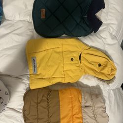 Cold Weather doggie Clothes For XS Dog:  Used