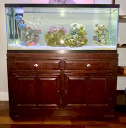 Saltwater 55 Gallon Aquarium Setup with Fish Tank Accessories