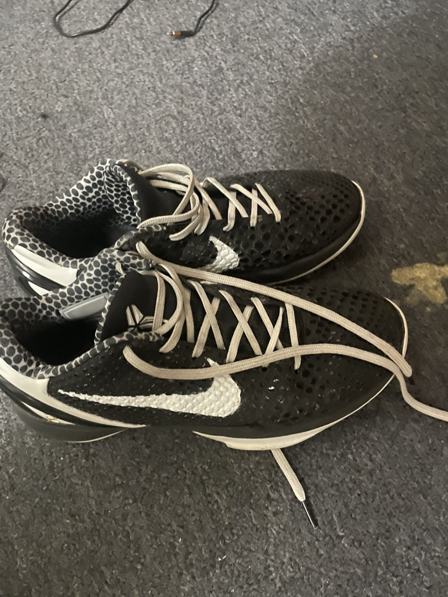 Kobe 6 Mambacita Size 11