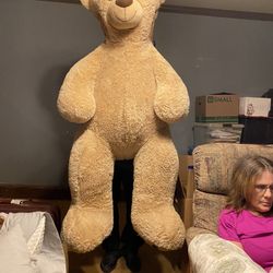 5 foot bear 