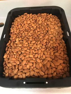 Nonpariel Almonds In Modesto $4.00 A Pound Or $3.50 A Pound When You Buy 10 Pounds Or More 🌺💚🐿️