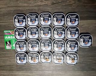 Cesar Wet Dog Food BUNDLE