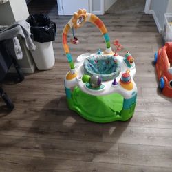 Baby Bouncer 