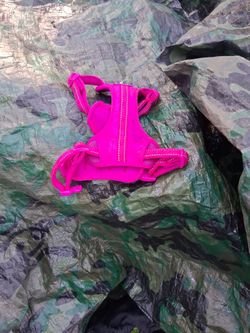 Harness