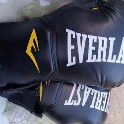 Everlast Punching Gloves