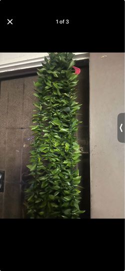 Full ti leaf maile leis