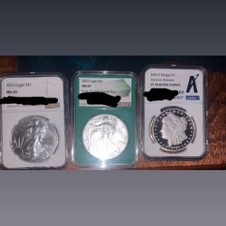 Ngc Coins ( silver $$1 ) 