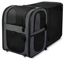 Apollo Walker Pet Carrier Backpack for Large/Small Cats and Dogs, Puppies, Safety Features and Cushion Back Support for Travel, Hiking, Outdoor