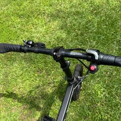 Swagtron Electric Bike