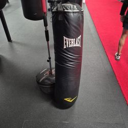Used Everlast Boxing Bag