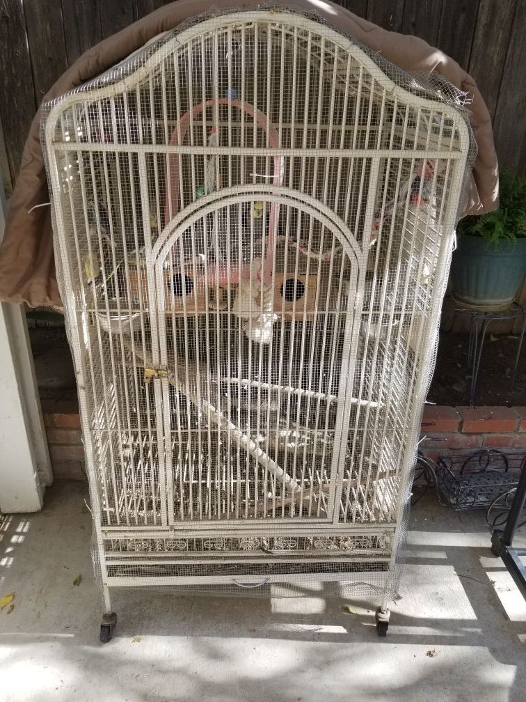 Cockatoos for sale (3) with cage 200 obo