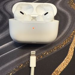 Apple Air Pods Pro 2 Model  #A2698 - Lightening Connector