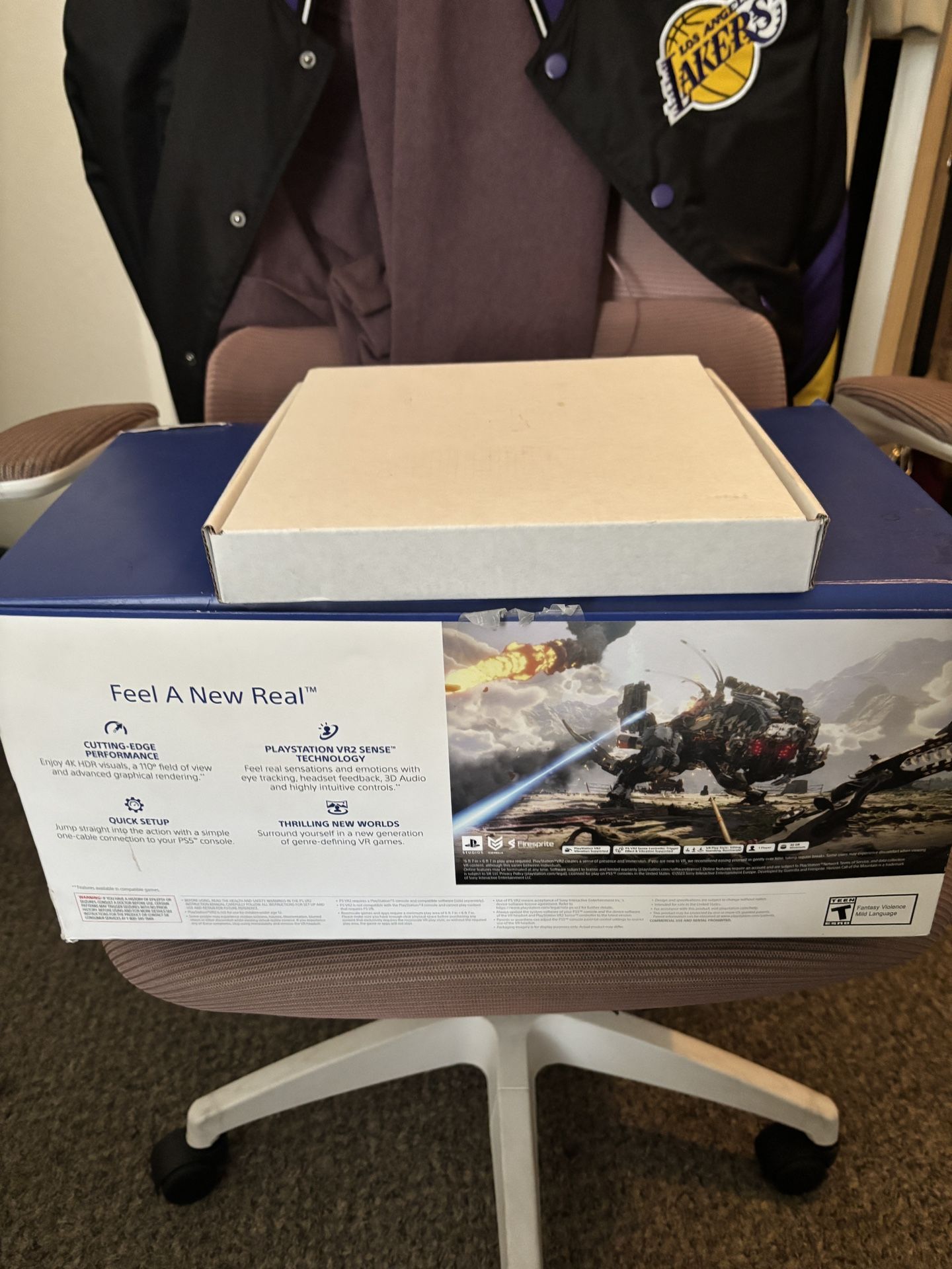 VR2 PlayStation