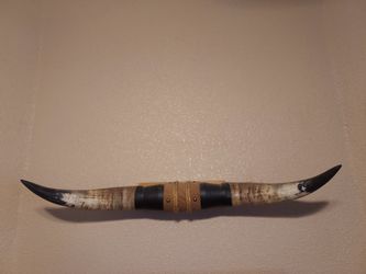 32 1/2" Authentic Steer Horns Mounted