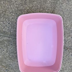 cat Litter Box， pink， pickup by UCSD 