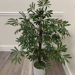 Artificial Olive Plant With Pot Realistic Fruit And Bunches 