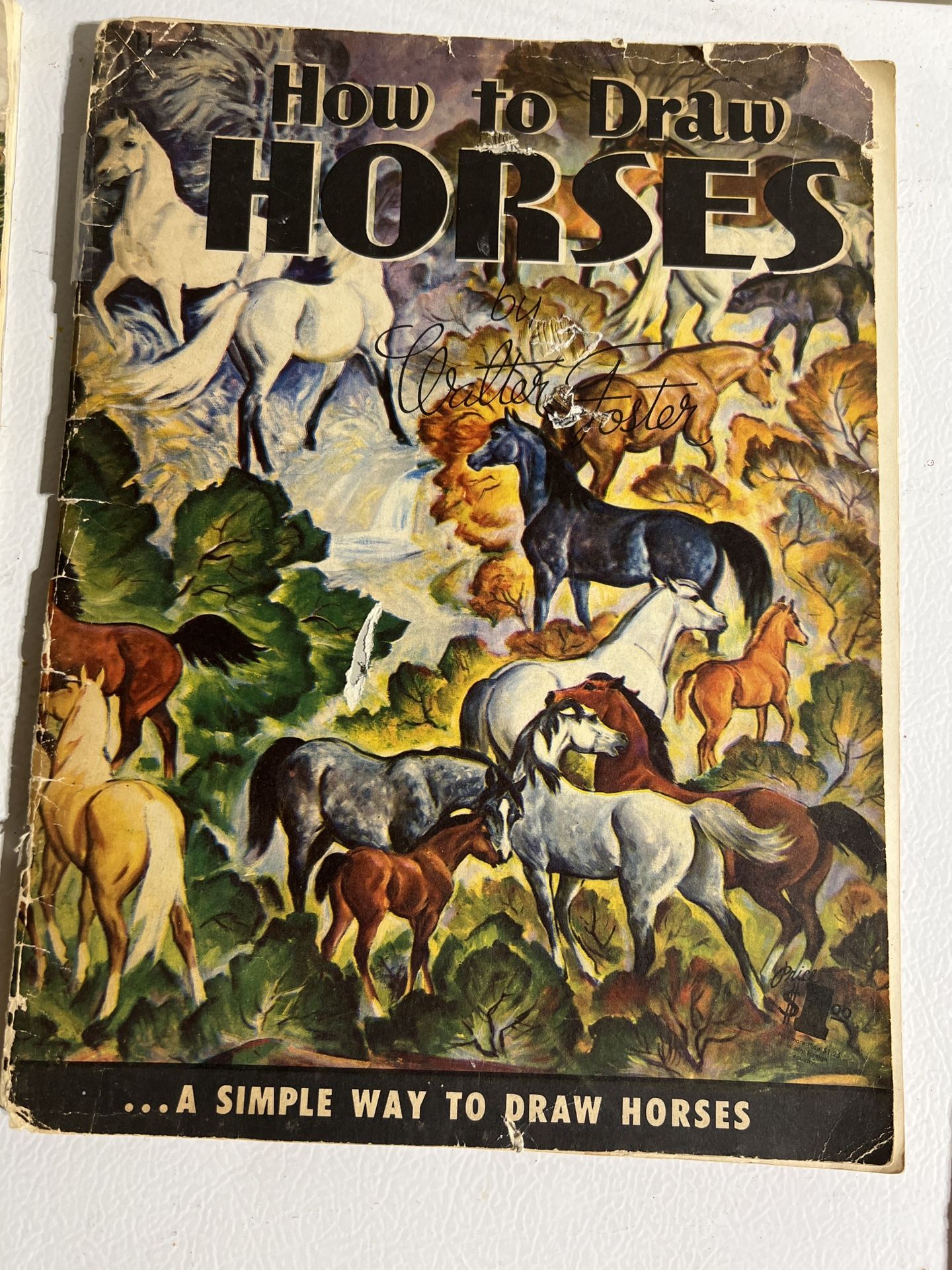 How To Draw Horse