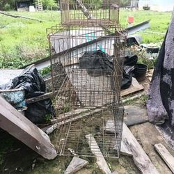 Rejas Pará Perros Y Gatos I gallinas 