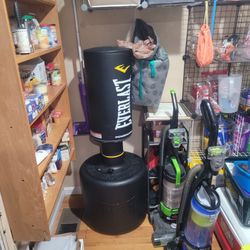Everlast Heavy Bag