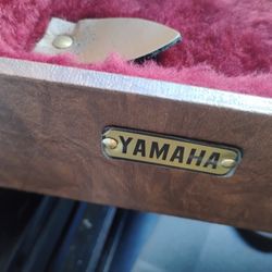 Vintage Yamaha Guitar 🎸 Case G&G The Original Guitar 