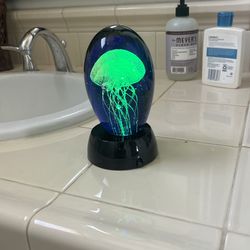 Glowing Glass Jelly Fish Thing