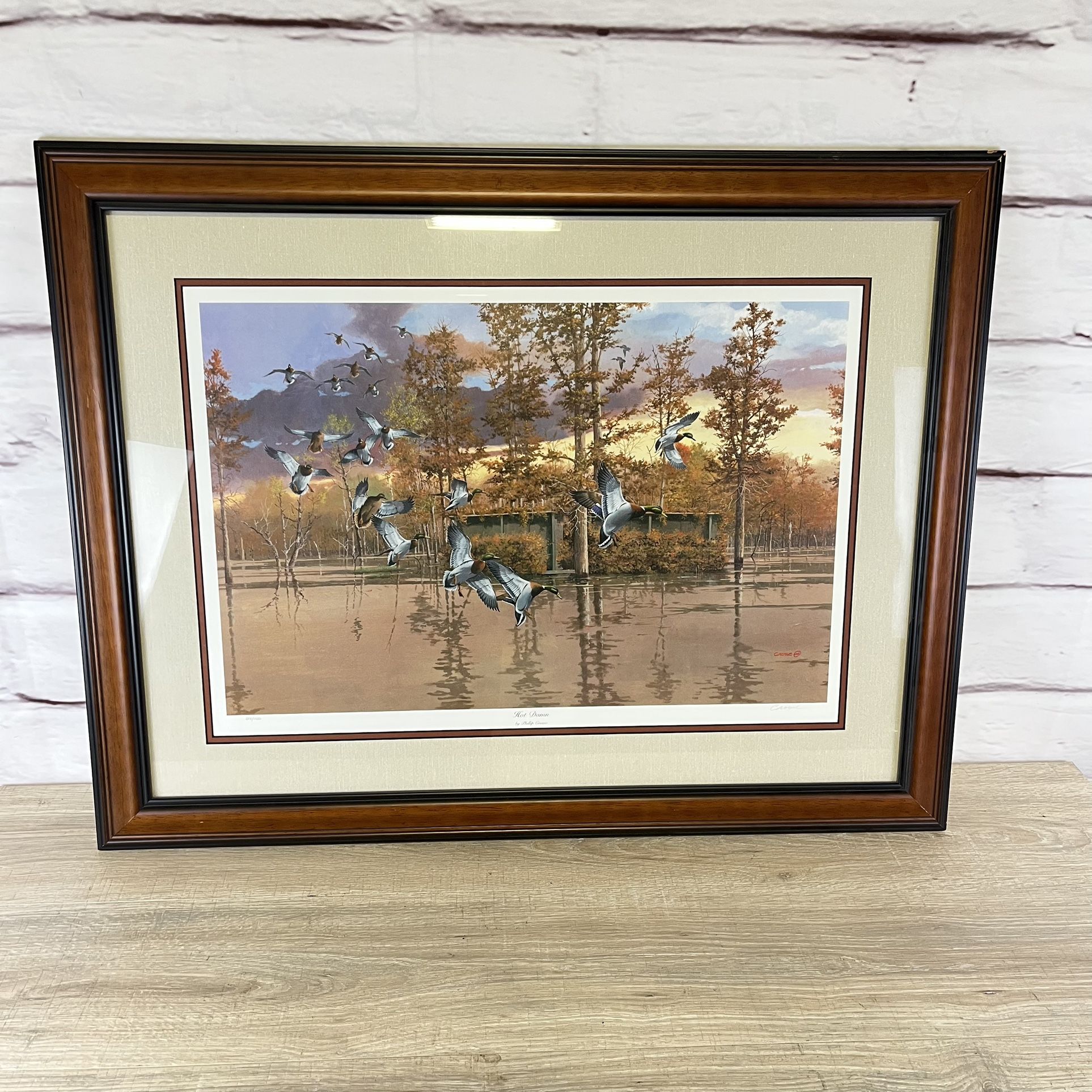 Hot Damn Phillip Crowe Duck Art