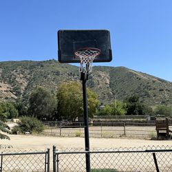 Basketball Hoop & Ball