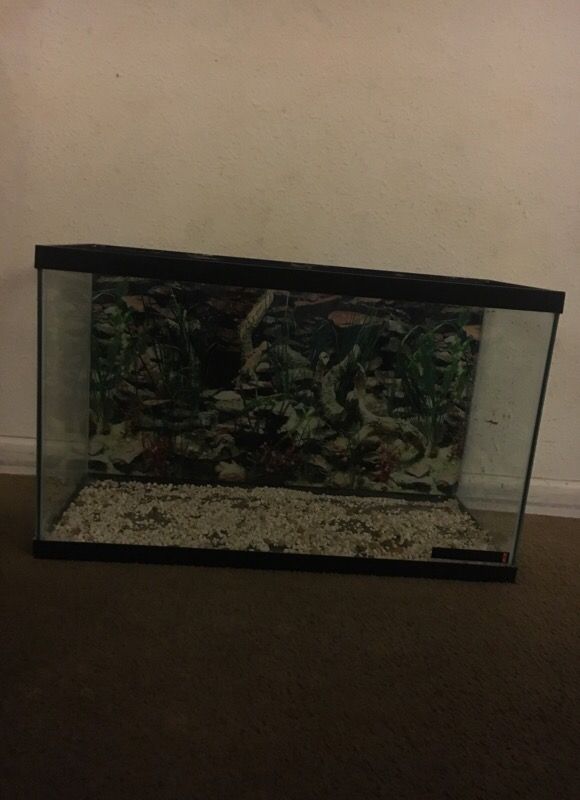 Fish 🐟 Tank Aquarium 30x18x12