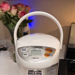 Zojirushi 3L Hot Water Boiler 