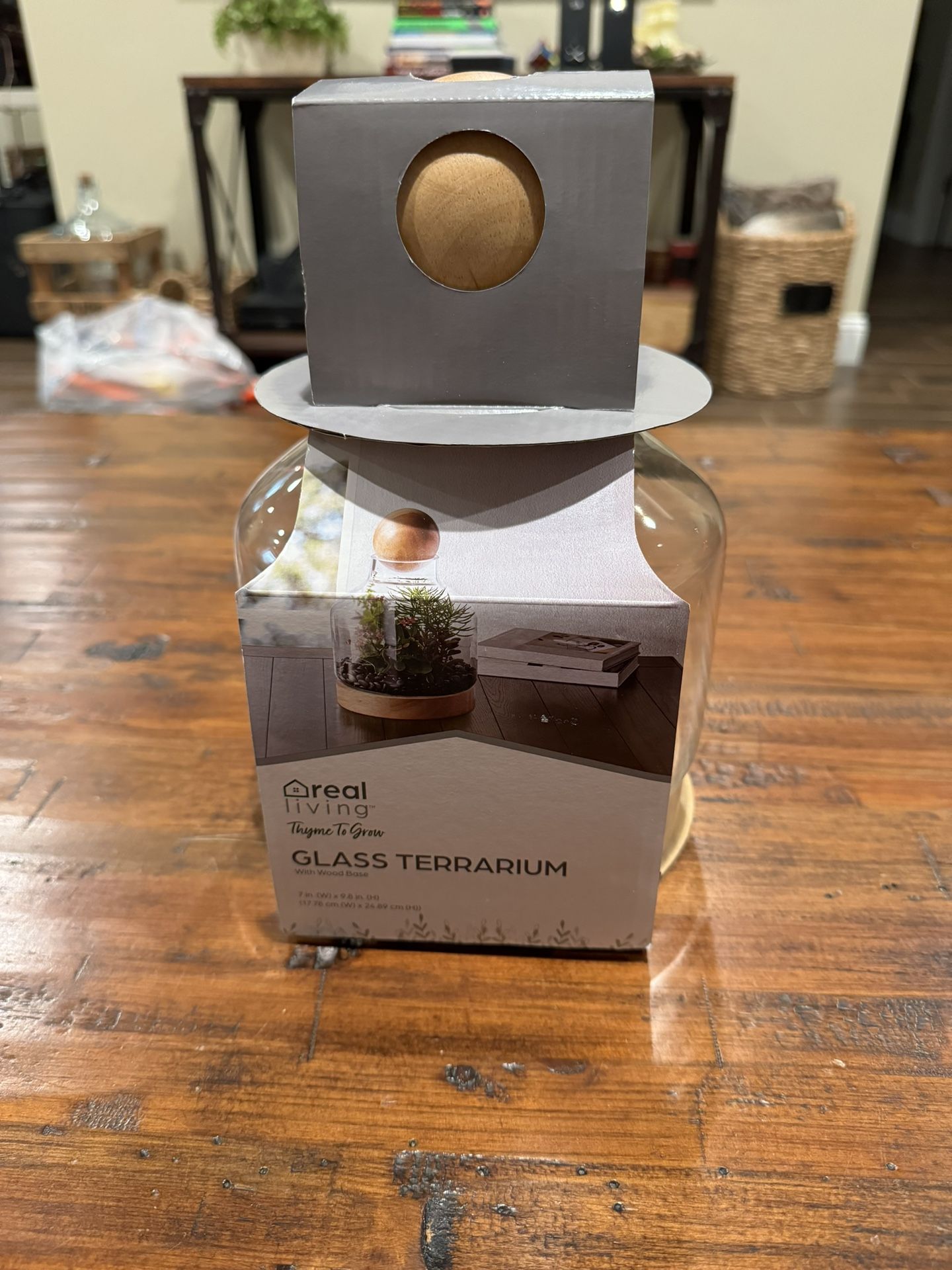 Glass Terrarium