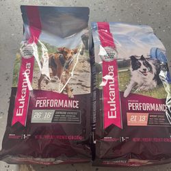 Dog food