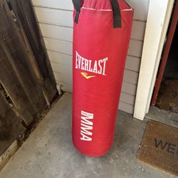 Punching Bag