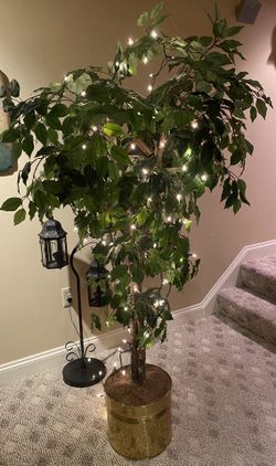 Artificial Ficus Tree