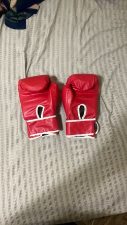 Bonsem Boxing Gloves