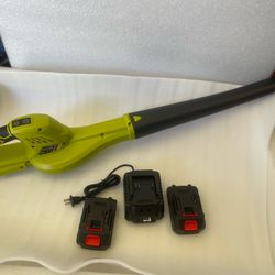 Cordless Blower with 2 Batteries and Charger