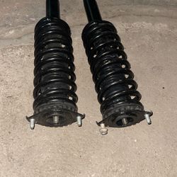 Back Shocks 