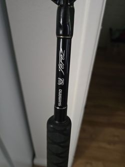 Shimano terez rail rod fishing rod