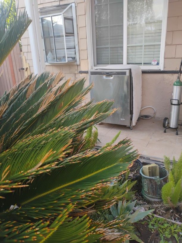 Dishwasher -  Almost New