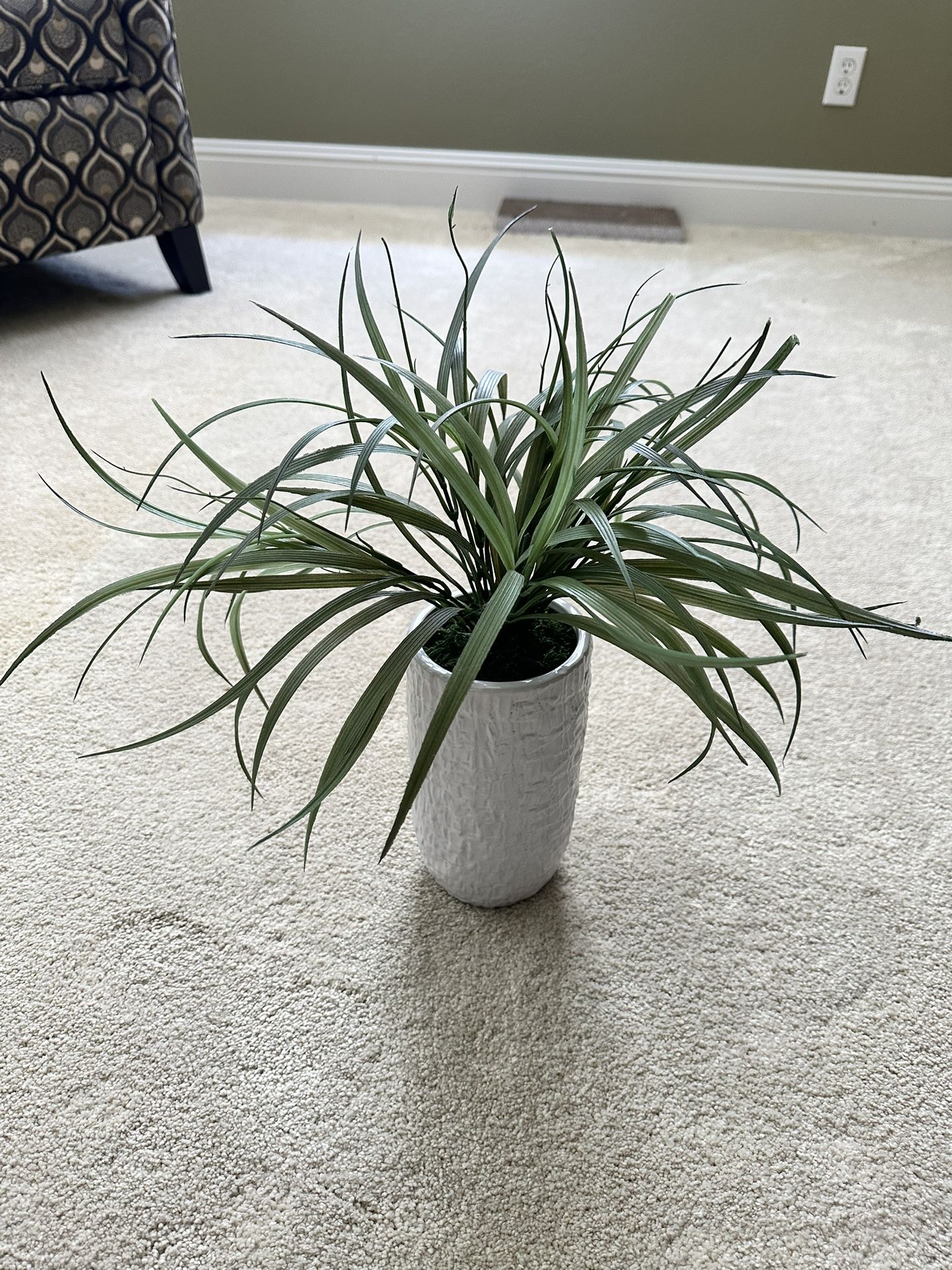 Fake Plant