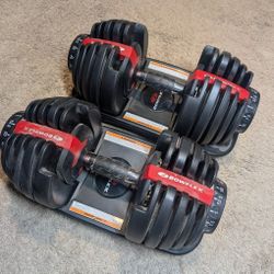 Bowflex Adjustable Dumbbells