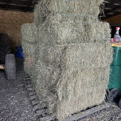 Hay 