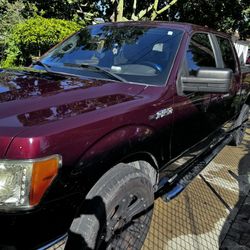 2009 Ford F-150 Truck