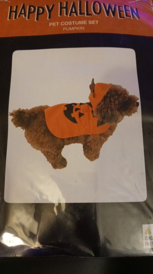 2pc Pumpkin Halloween Dog Costume