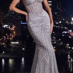 Beautiful Glamorous Dress!