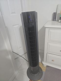Fan